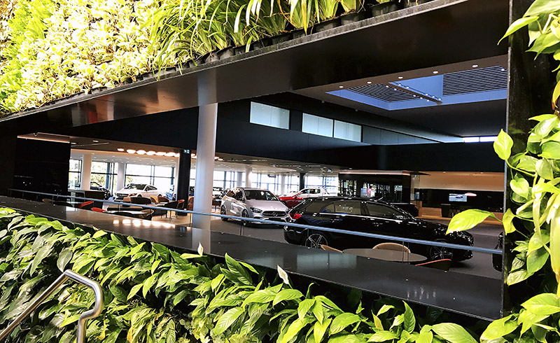 Connecting a Premium Auto Group with Chinese-Australian Audiences 3