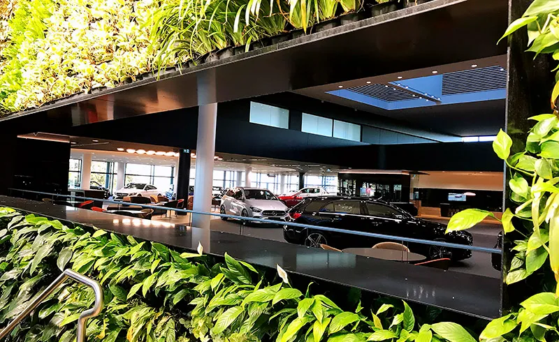 Connecting a Premium Auto Group with Chinese-Australian Audiences 3